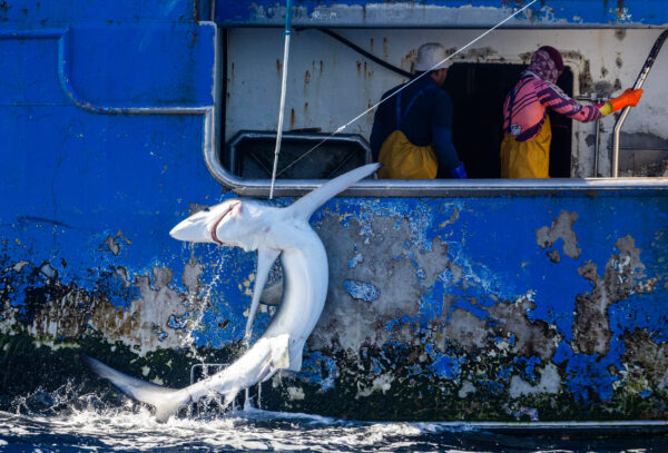 GP0SU5O8O PressMedia 2500px 1